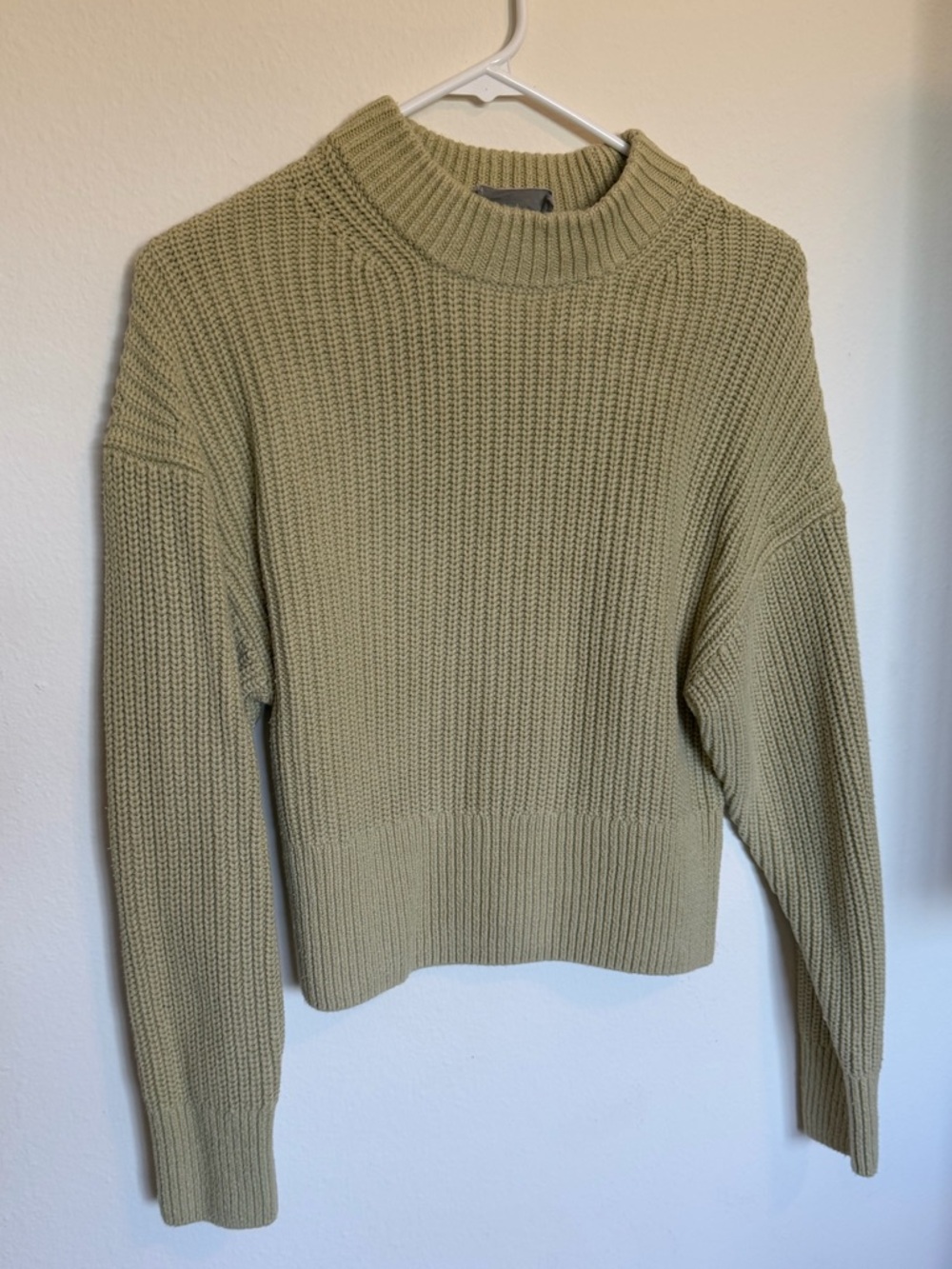 Everlane cotton sweater